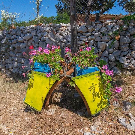 Bonic * Veli Lošinj